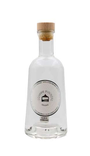 Blanche d'Armagnac - Iconic